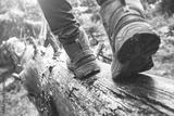 preview bw