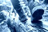 preview cold