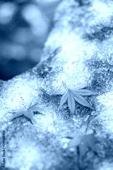 preview cold