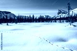 preview cold