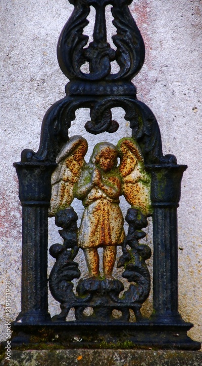 image to crop