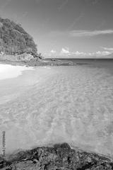 preview bw