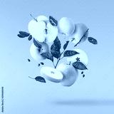 preview cold