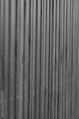 preview bw