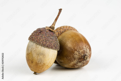 image to crop