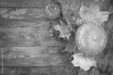 preview bw
