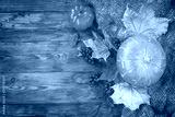 preview cold