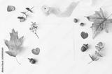 preview bw