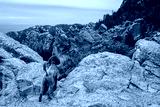 preview cold