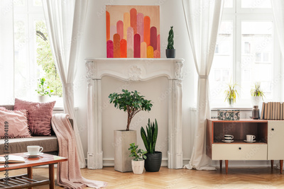 image to crop