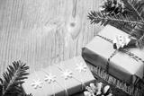preview bw