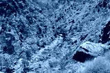 preview cold
