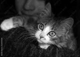 preview bw