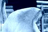 preview cold