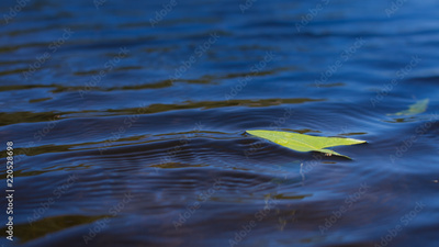 image to crop