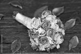 preview bw