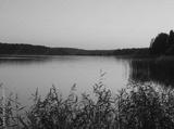 preview bw