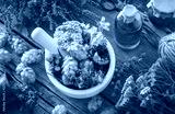 preview cold