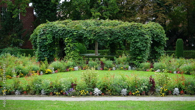 image to crop