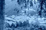 preview cold