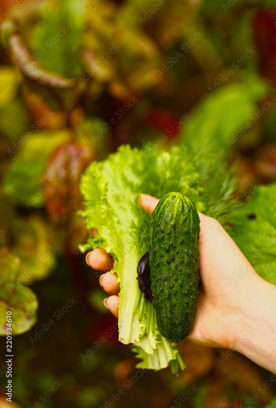 image to crop