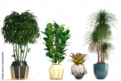 image to crop