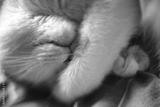 preview bw