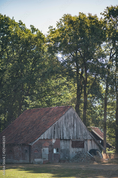 image to crop
