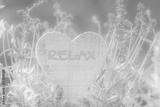 preview bw