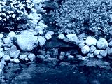 preview cold
