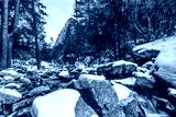 preview cold