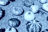 preview cold