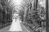 preview bw