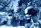 preview cold