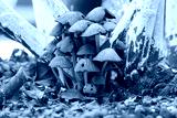 preview cold