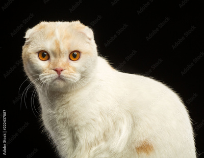 image to crop