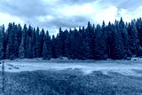 preview cold