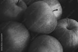 preview bw