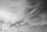 preview bw