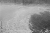 preview bw