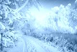 preview cold