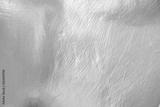 preview bw