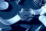 preview cold