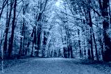 preview cold