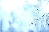 preview cold
