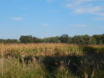image to crop