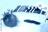 preview cold