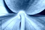 preview cold