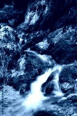 preview cold