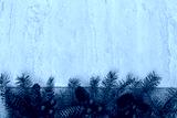 preview cold